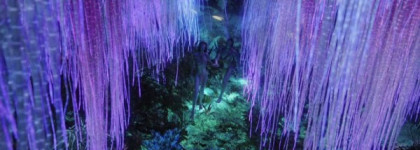 Так пахнет лето...Giorgio Armani Acqua di Gioia Eau de Parfum