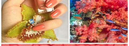 Ктооо проживает на дне океана? Или коралловый привет из океанических глубин