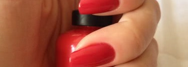 Красная роза -эмблема любви