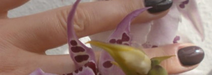 Меланхолия Чайлд Гарольда или Essence Wild Craft Mystic Lilac 03