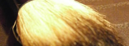 Сага о кистях. Ч.1: кисти для румян