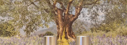 На какие курсы пойти? На антиэйджевые