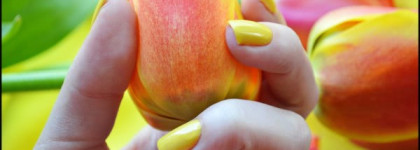 Уже не нова, но все-таки хороша. Мимоза. Chanel Le Vernis 577 Mimosa