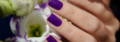 Picture Polish Violet Femme