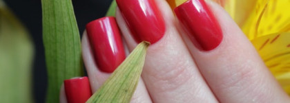 Chanel Le Vernis Nail Colour Rouge #19