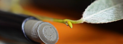 Chanel Stylo Eyeshadow Fresh Effect Eyeshadow #137 Olivine