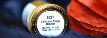 Masura Узнаю Твои Шаги 1021