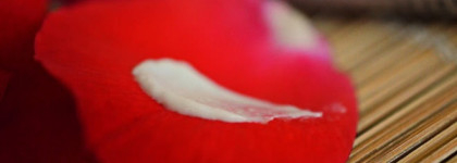 Stenders Instant Recovery Hand Scrub