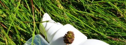 Irushka Cleansing Milk