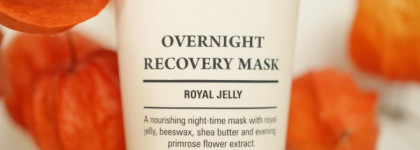 Питаемся со Stenders Overnight Recovery Mask