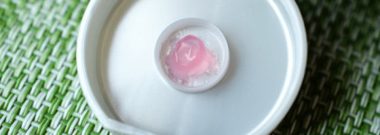 Новинка от Stenders