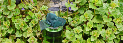 Весенняя свежесть со Stenders