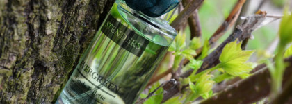 Весенняя свежесть со Stenders