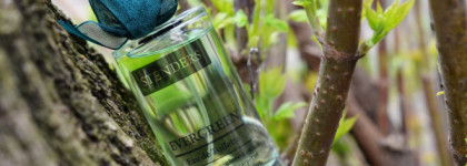 Весенняя свежесть со Stenders