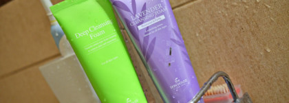 The Skin House VS the Skin House