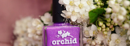 PP Orchid