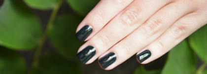 Suqqu Nail Color Polish #10 Fukamidori