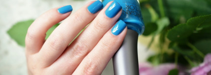 Два летних Моргана