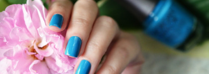 Два летних Моргана