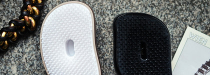 Cactus VS Tangle Teezer