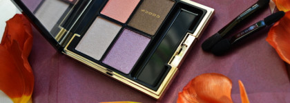 Suqqu Designing Color Eyes #108 Akatsukizora