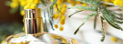 Весенний DKNY Nectar Love