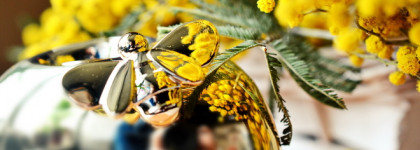 Весенний DKNY Nectar Love