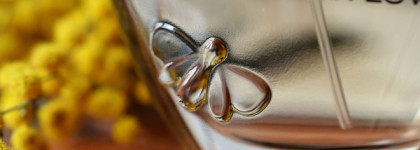 Весенний DKNY Nectar Love