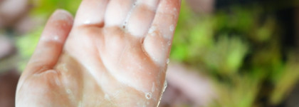 Обзор нового ухода: Origins, RejudiCare, Biothal