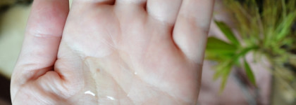 Обзор нового ухода: Origins, RejudiCare, Biothal