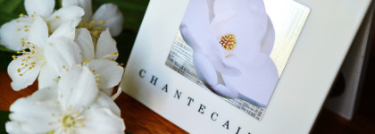 Chantecaille Le Magnolia Eye and Cheek Palette