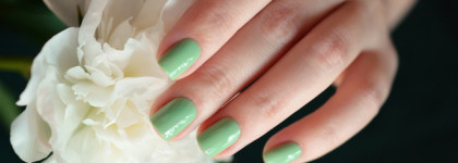 Dolce&Gabbana #710 Mint