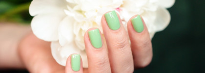 Dolce&Gabbana #710 Mint