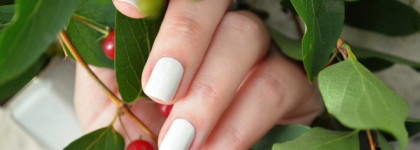 Suqqu Global Summer. Лаки