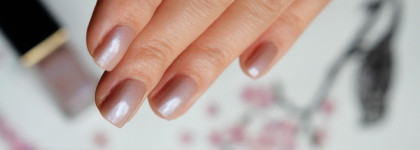 Так по-Suqqu`овски