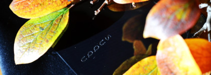 SUQQU Blend Color Eyeshadow #20 Kaoribara