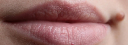 Artdeco Cream Rouge for Cheeks & Lips Art. No. 320.10 creamy pink