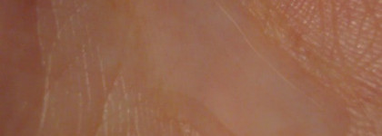 Etude House Skin Mal Gem Moist - нежность по-корейски