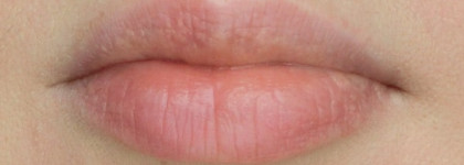 Помада Tom Ford Lip Color 04 Indian Rose