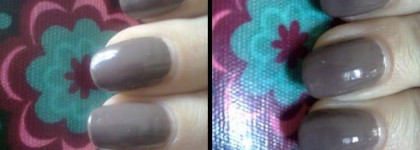 Непонятный, но приятный Golden Rose Fantastic Color #171