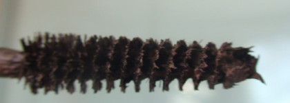 Обзор трёх тушей для ресниц - Helena Rubinstein Lash Queen Feline Blacks (01 black black), Estee Lauder Sumptuous Extreme Lash Multiplying Volume Mascara (extreme brown) и Missha 4D Mascara (black)