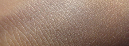 Shiseido Luminizing Satin Face Color WT905