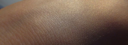 Shiseido Luminizing Satin Face Color WT905