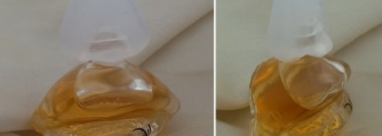 Salvador Dali Salvador Dali - моя новая загадка