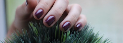 По-настоящему осенний Golden Rose Rich Color №28