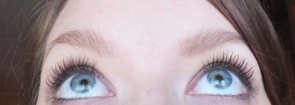 False Lash Papillon mascara от L'oreal в оттенке black