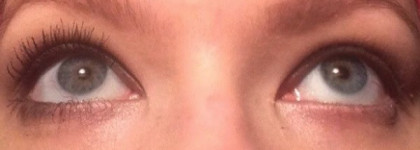 False Lash Papillon mascara от L'oreal в оттенке black