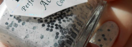 El Corazon Eggs of wild birds 423/96