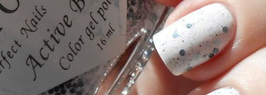 El Corazon Eggs of wild birds 423/96