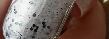 El Corazon Eggs of wild birds 423/96